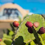 Eslanzarote Luxurious Eco Dome Experience Holiday park