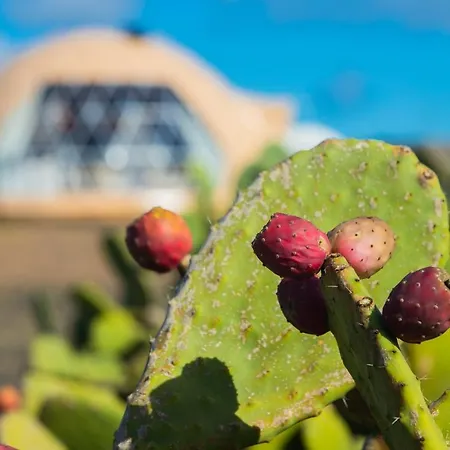 Eslanzarote Luxurious Eco Dome Experience База отдыха
