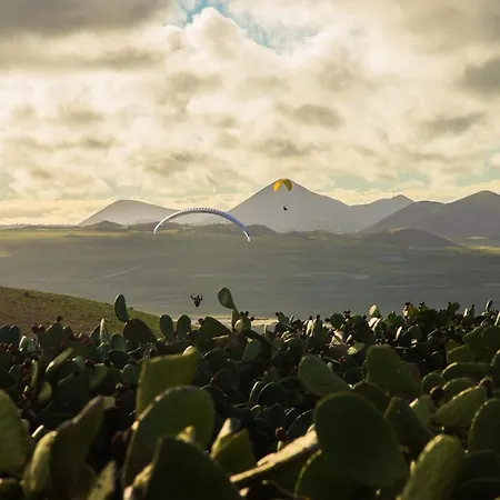 假日公园 Eslanzarote Luxurious Eco Dome Experience