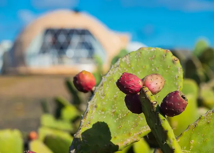 Eslanzarote Luxurious Eco Dome Experience Aldeamento Turístico